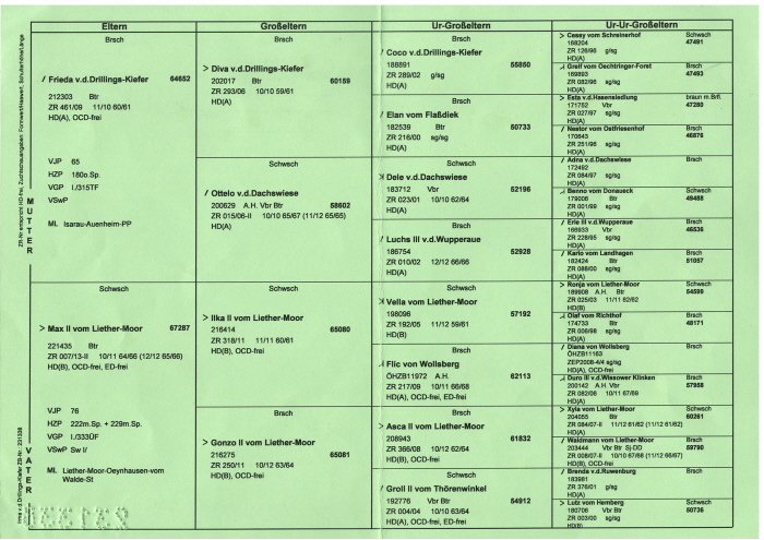 Ahnentafel Ilck