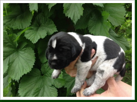 Greta 10 Tage