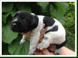 Gina 10 Tage
