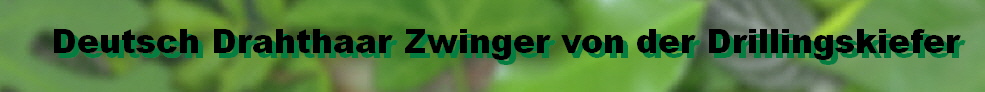 Home - drillingskiefer.de